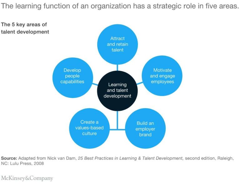 8 Sections Every Learning & Development Strategy Must Have