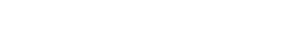 The_Information_logo 2